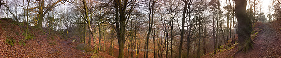 P3F38  Alderley Edge, Cheshire, UK