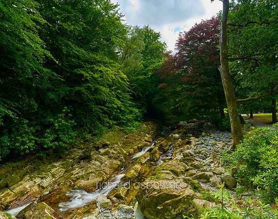 V20F2  Shimna River, Tollymore Forest Park, County Down, Northern Ireland