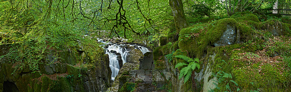 P3W14  River Braan and The Hermitage, Dunkeld, Perthshire, Scotland, UK