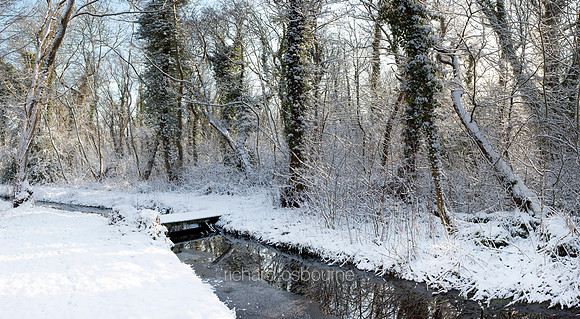 V5N9  Deep Winter, NWT Upton Broad and Marshes, Norfolk, UK