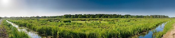 P2L31  Thorpe Marshes, Norwich, Norfolk, UK