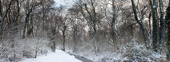Deep Winter, NWT Upton Broad and Marshes, Norfolk, UK