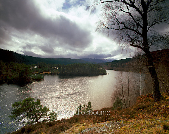 V1S6 Glen Affric, Invernesshire