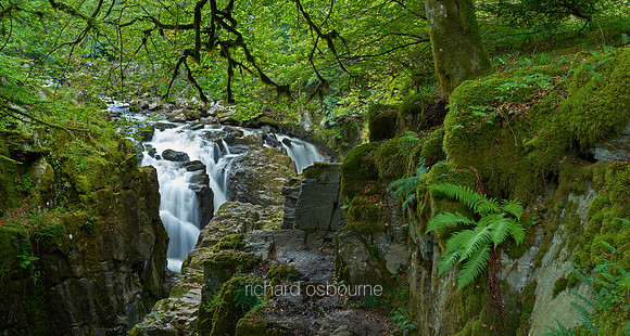 P3W13  River Braan and The Hermitage, Dunkeld, Perthshire, Scotland, UK