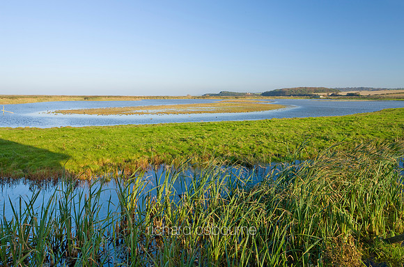 V4N42  NWT Cley Marshes, Cley-next-the-Sea, Norfolk