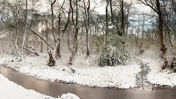Deep Winter, NWT Upton Broad and Marshes, Norfolk, UK