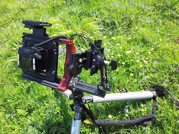 Without a ball head, I improvised a low shot on the panorama head.