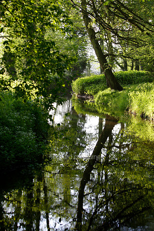 L1N27 River Tas, Tasburgh