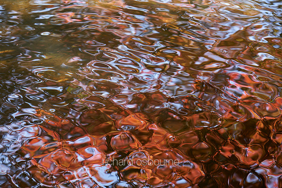 V19T1  Water Reflections