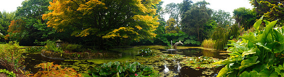 P2W5  Pond Garden, Trewidden Garden, Penzance, Cornwall, UK