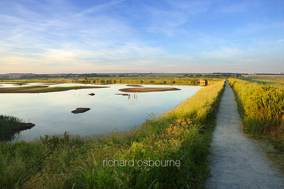 V1N6 Titchwell Marshes RSPB Reserve