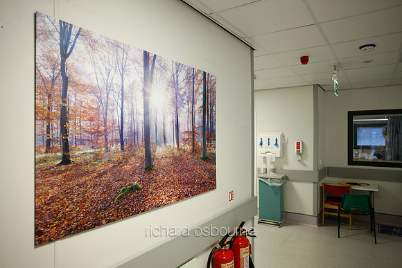 UHSM Wythenshawe Hospital - PhotoPanel, 1350 x 900mm