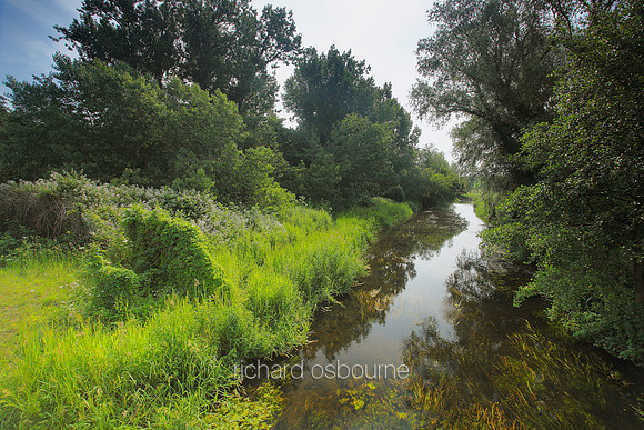 V4N47  River Yare, Harford, Norfolk, UK