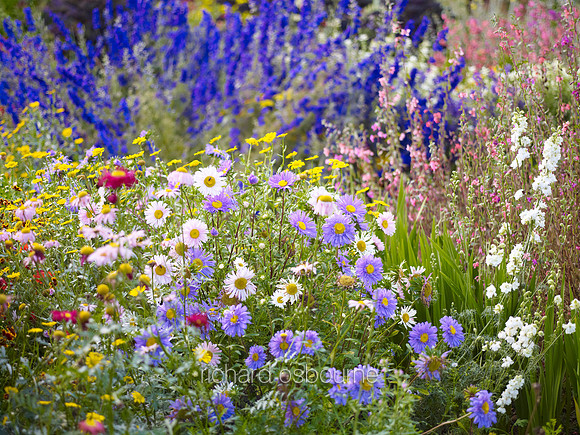 V6G9  East Ruston Old Vicarage Gardens, Norfolk, UK