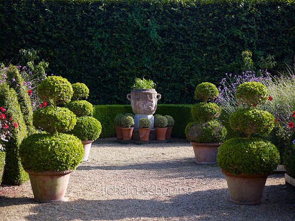 V6G13  East Ruston Old Vicarage Gardens, Norfolk, UK