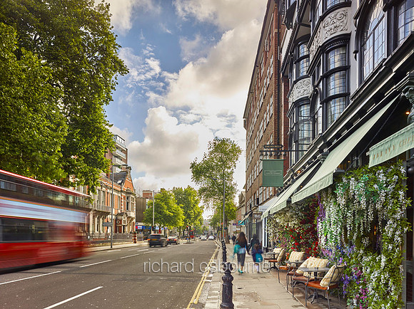 Dove House Green and The Ivy, Chelsea for Property Developer