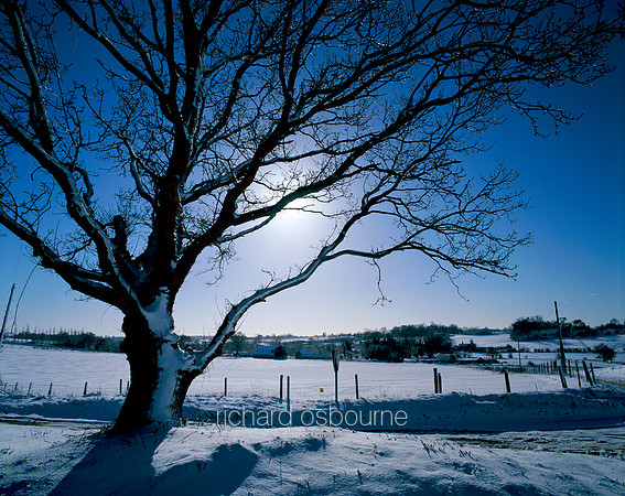 V1L10 Winter, Saxlingham
