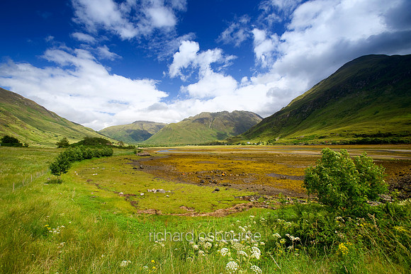 V2S4 Kintail
