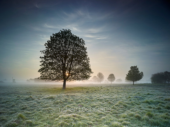 V9N19  NWT New Buckenham Common, Norfolk, UK
