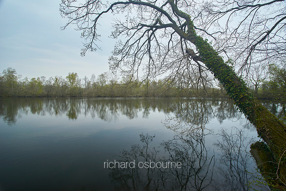 NWT Sparham Pools, Norfolk, UK