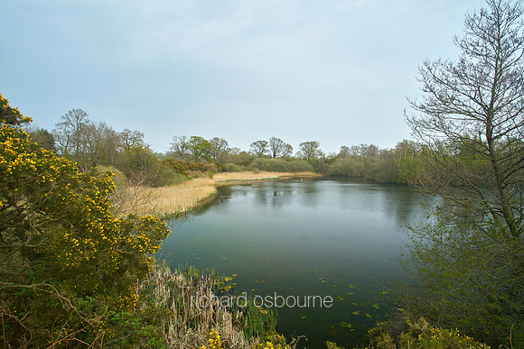 NWT Sparham Pools, Norfolk, UK
