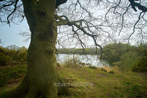 NWT Sparham Pools, Norfolk, UK