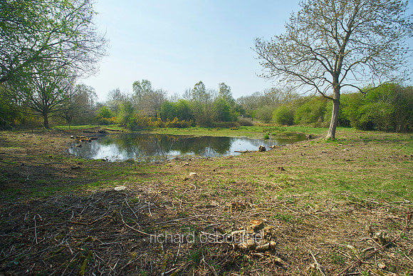 Spring, NWT Thompson Common, Norfolk, UK