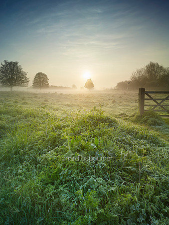 V9N21  NWT New Buckenham Common, Norfolk, UK