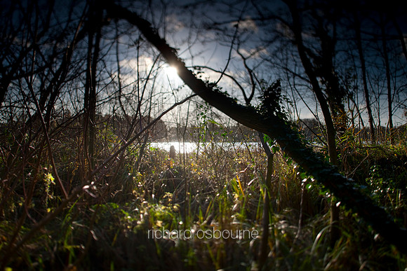 V4L5 Norfolk Broads Winter II