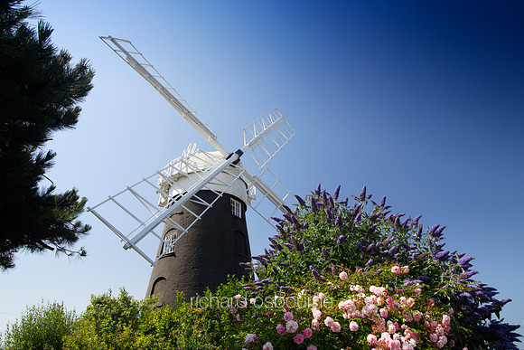 L1AR33 Windmill I