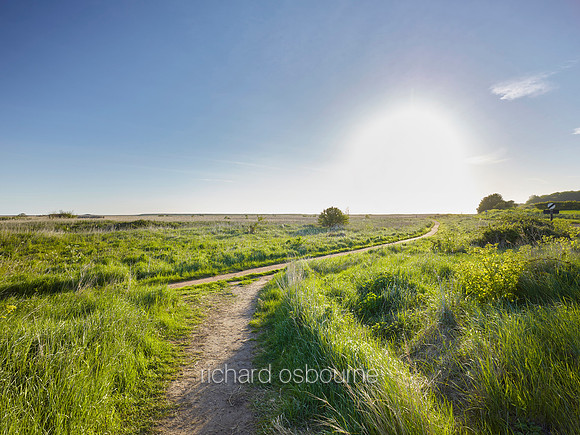 NWT Cley Marshes, Norfolk, UK