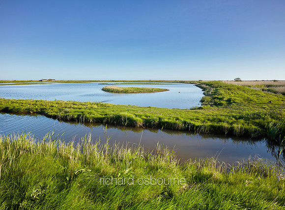 NWT Cley Marshes, Norfolk, UK