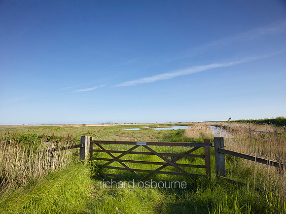 NWT Cley Marshes, Norfolk, UK