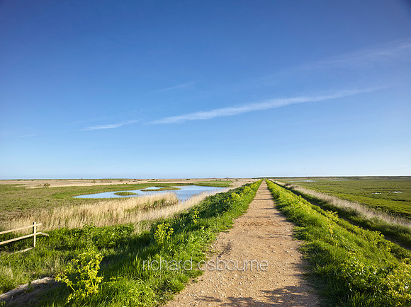 NWT Cley Marshes, Norfolk, UK