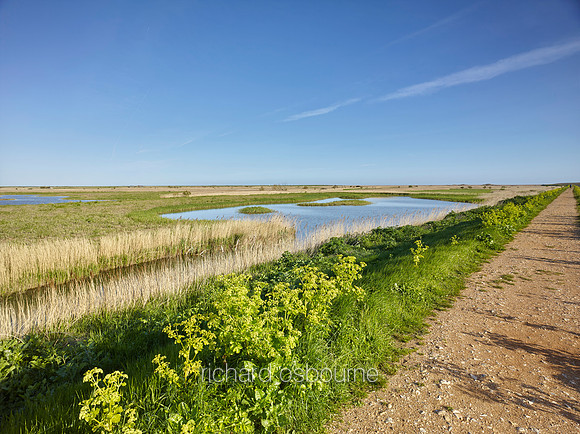 NWT Cley Marshes, Norfolk, UK