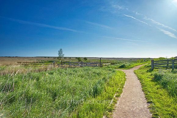 NWT Cley Marshes, Norfolk, UK