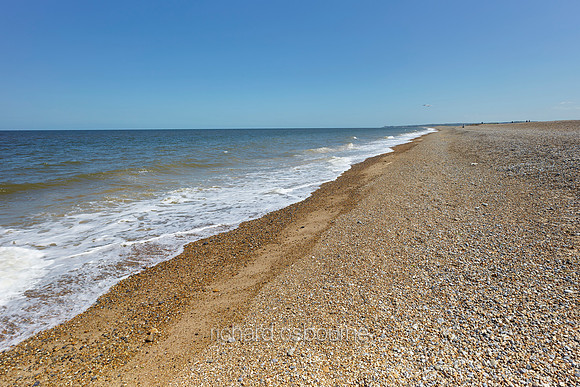 NWT Cley Marshes, Norfolk, UK