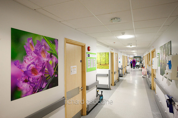 UHSM Wythenshawe Hospital - PhotoPanel, 900 x 900mm