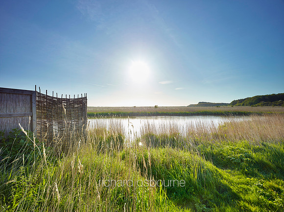 V9N25  NWT Cley Marshes, Norfolk, UK