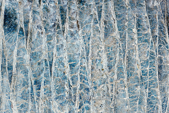 V18A1  Abstract Bark