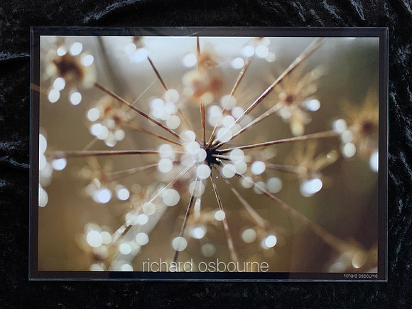 3 Dewdrops  V2D9 A3PhotoGlassWork 6mm  Was £95 Now £75