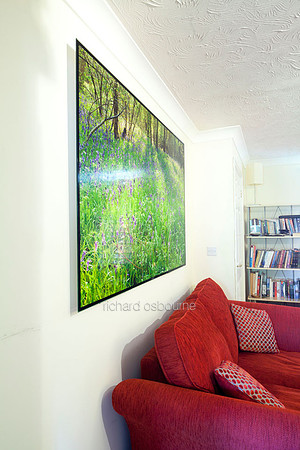 B.  Waresley Woods Bluebells V1BL14  150 x 100cm   Front Lit PhotoGlassWork Was £950        Now £450