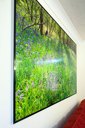 B.  Waresley Woods Bluebells V1BL14  150 x 100cm   Front Lit PhotoGlassWork Was £950        Now £450