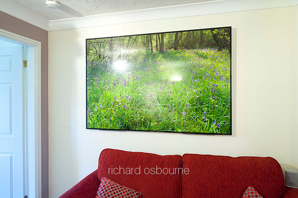 B.  Waresley Woods Bluebells V1BL14  150 x 100cm   Front Lit PhotoGlassWork Was £950        Now £450