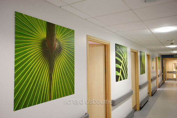 UHSM Wythenshawe Hospital - PhotoPanel, 900 x 900mm