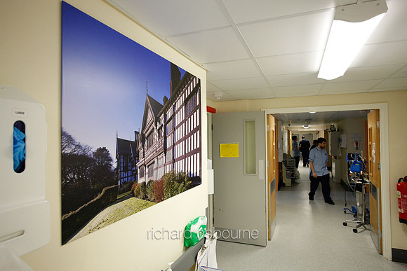 UHSM Wythenshawe Hospital - PhotoPanel, 1350 x 900mm