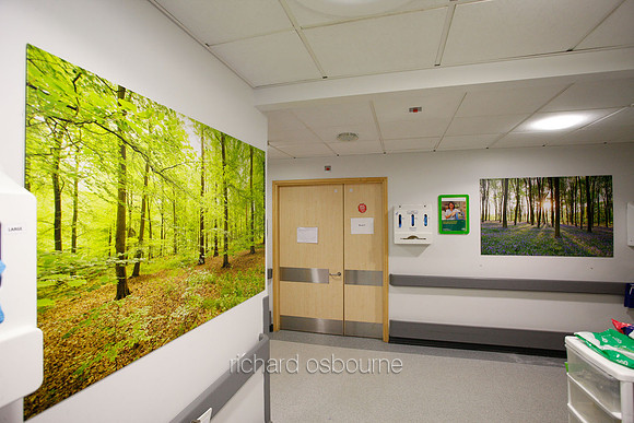 UHSM Wythenshawe Hospital - PhotoPanel, 1350 x 900mm