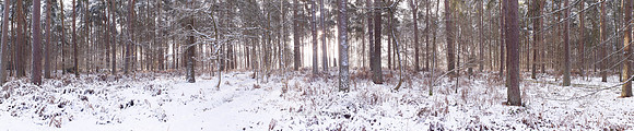 P3F17  Snow, East Roudham, Norfolk, UK