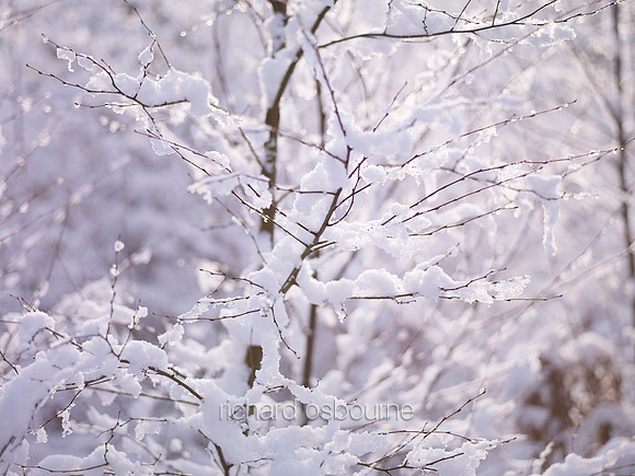 V7D1  Snow, East Roudham, Norfolk, UK