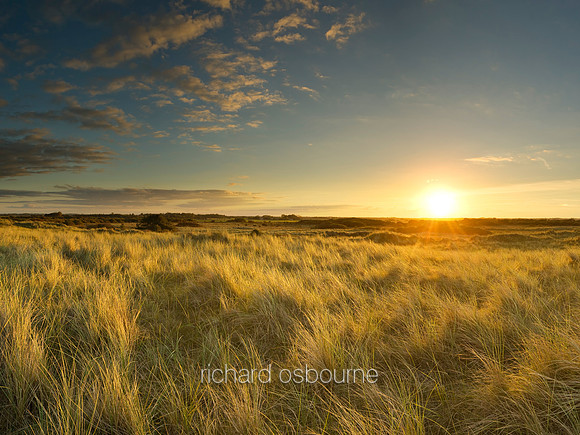 V4N36  Horsey Beach, Norfolk